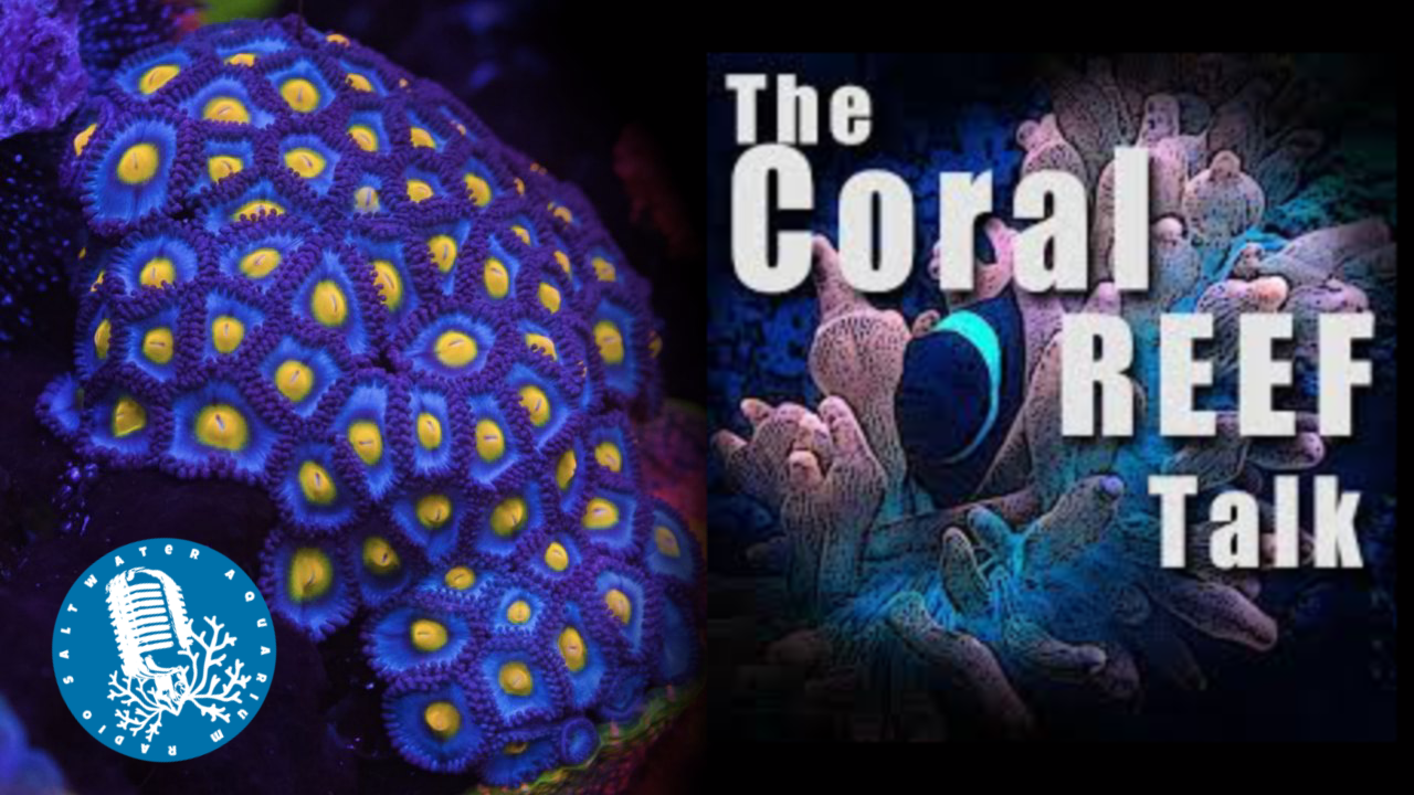 The Coral Reef Talk