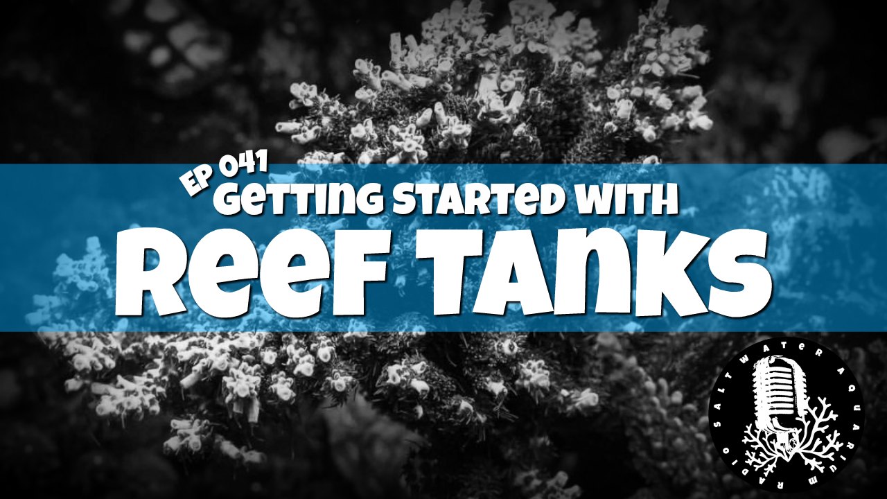 Reef Tank Podcast