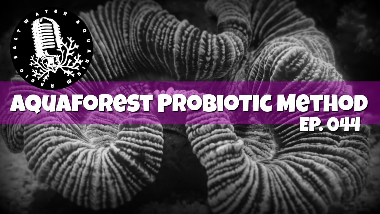 Aquaforest Probiotic Method