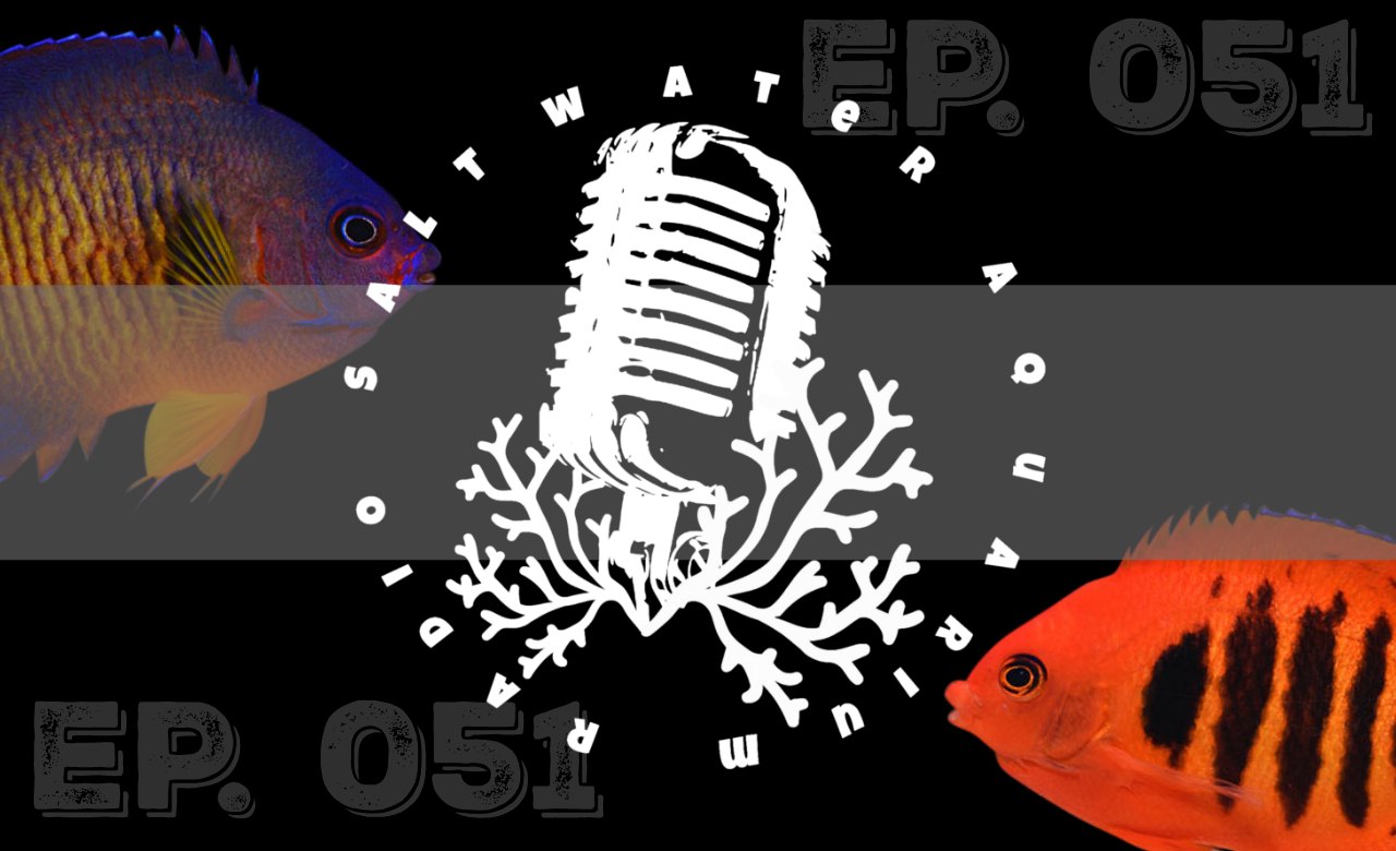 Reef tank podcast