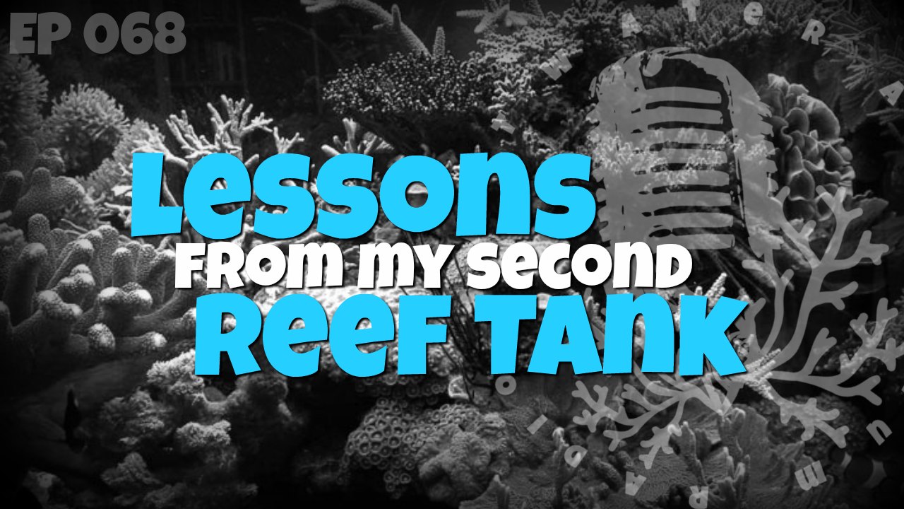 Reef Tank podcast