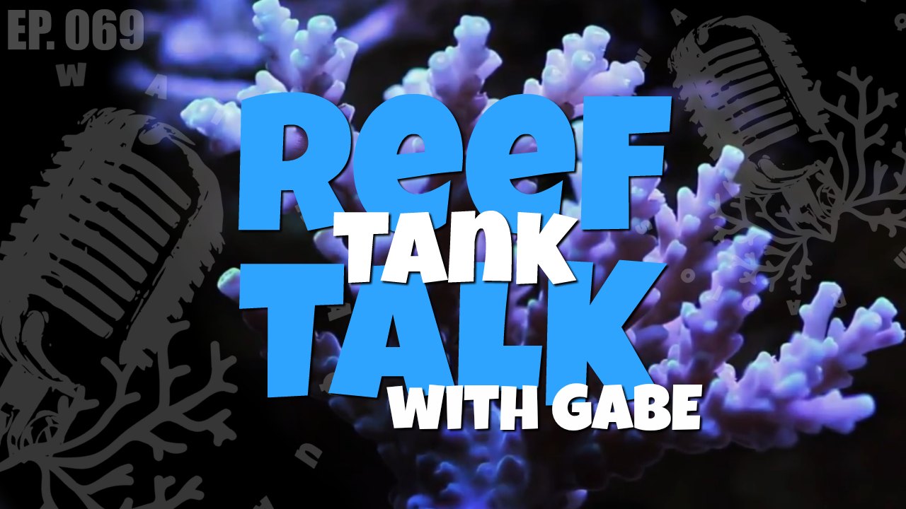 Reef tank podcast copy