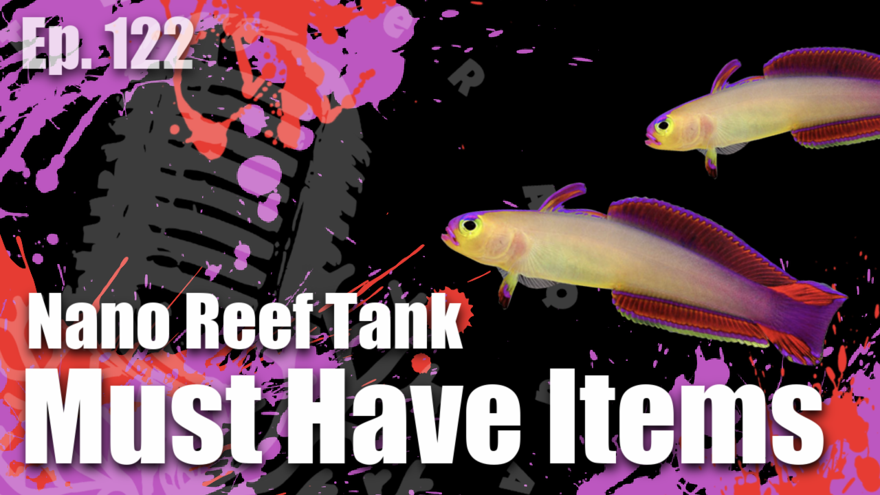 Reef Tank PodcastThumbnail