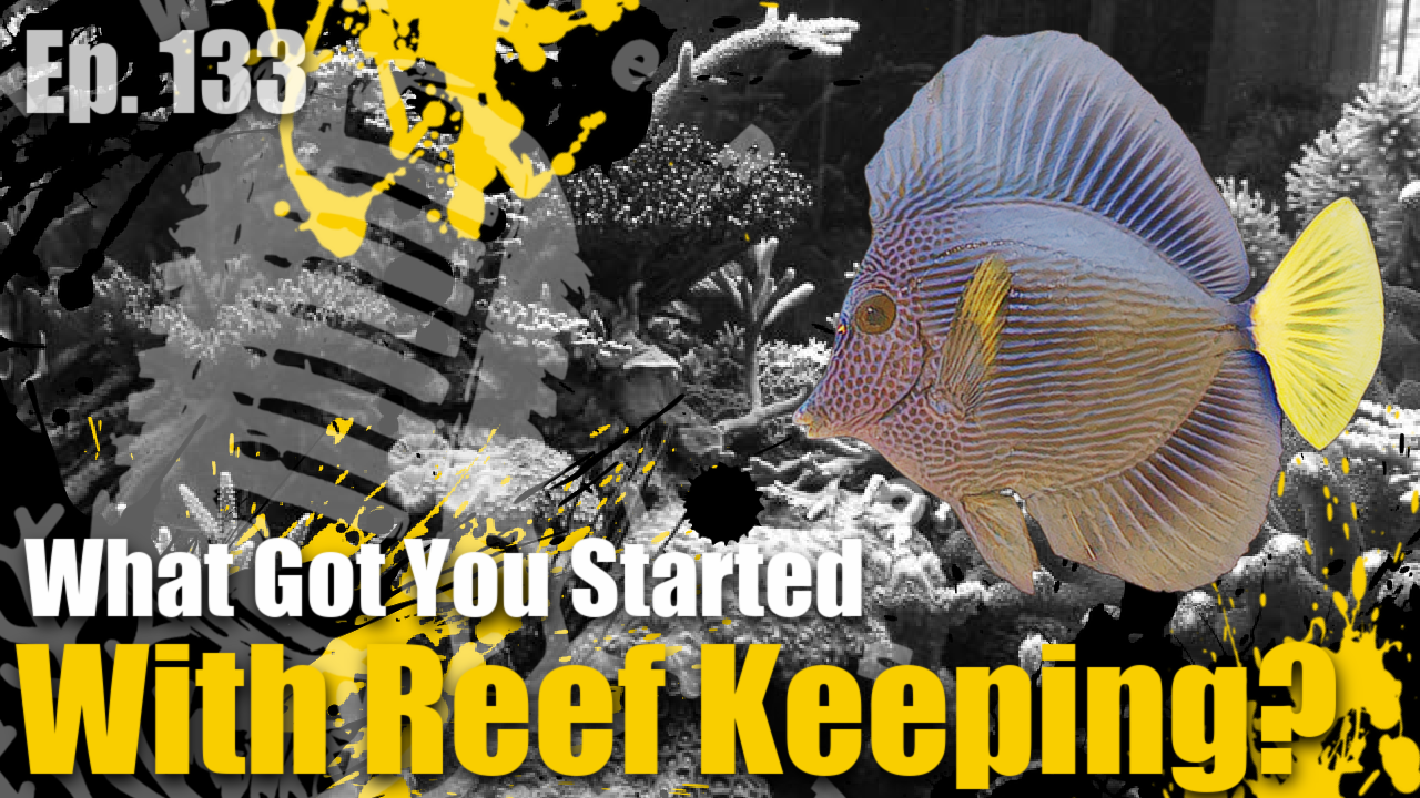 Reef Tank PodcastThumbnail