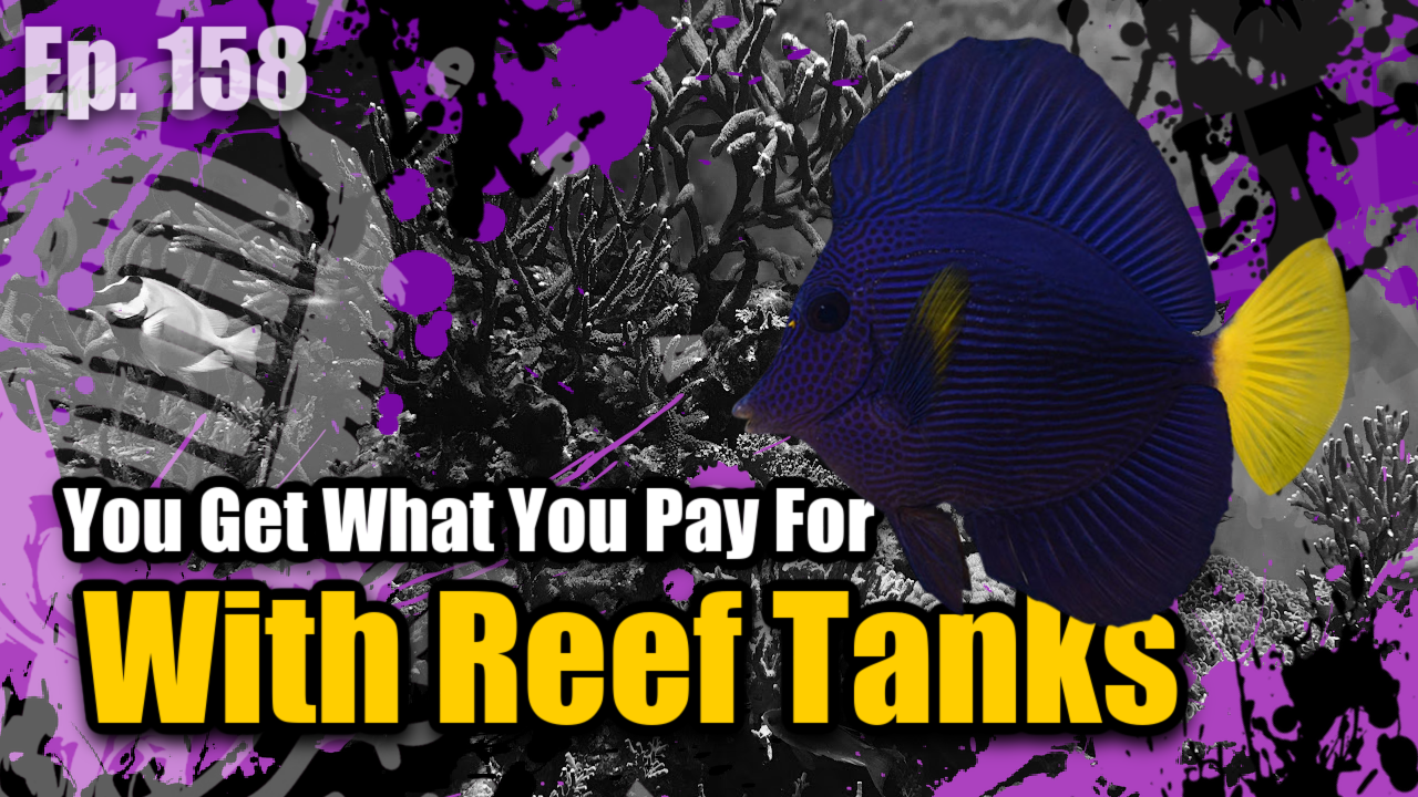 Reef Tank PodcastThumbnail EP158