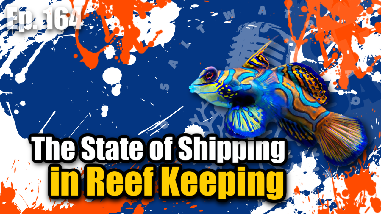 Reef Tank PodcastThumbnail EP164