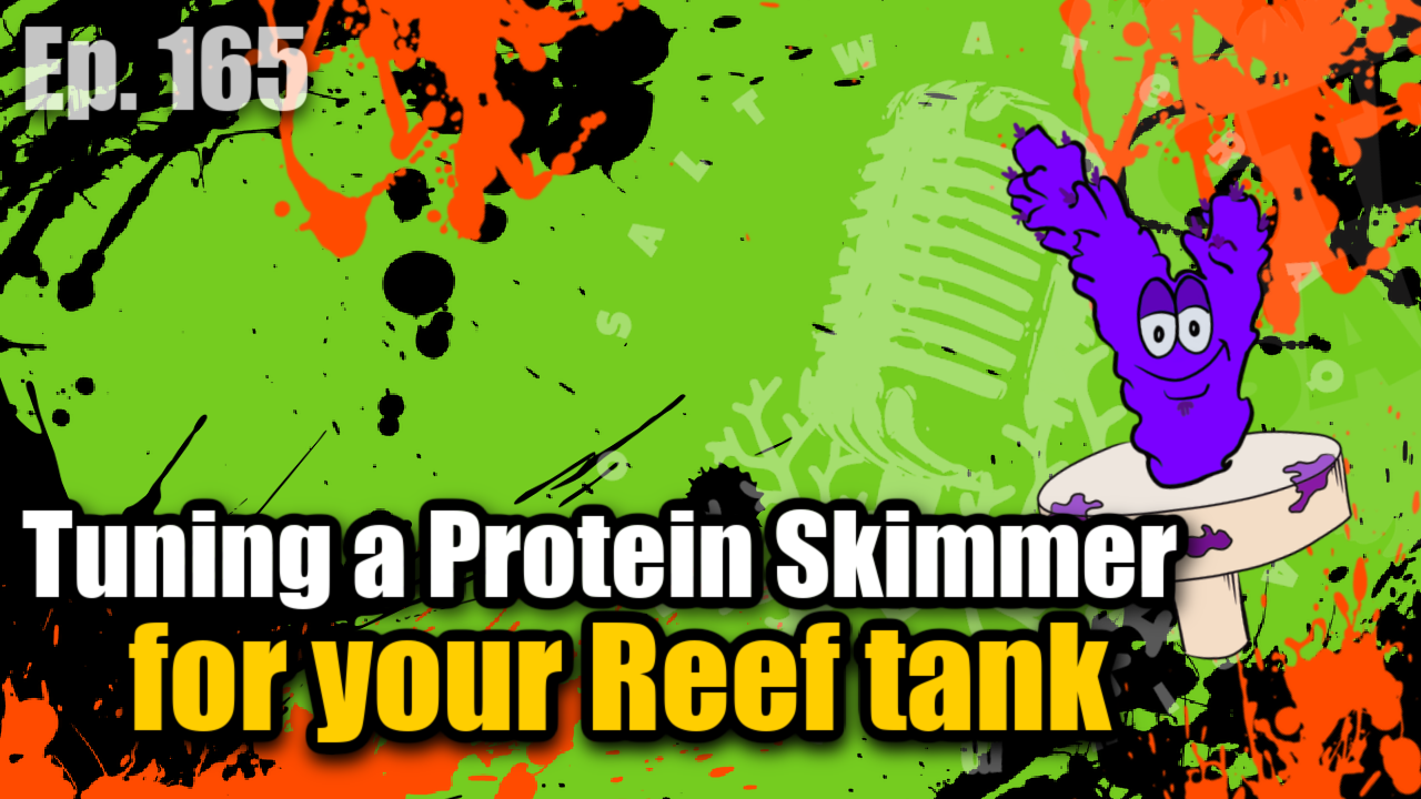 Reef Tank PodcastThumbnail EP165