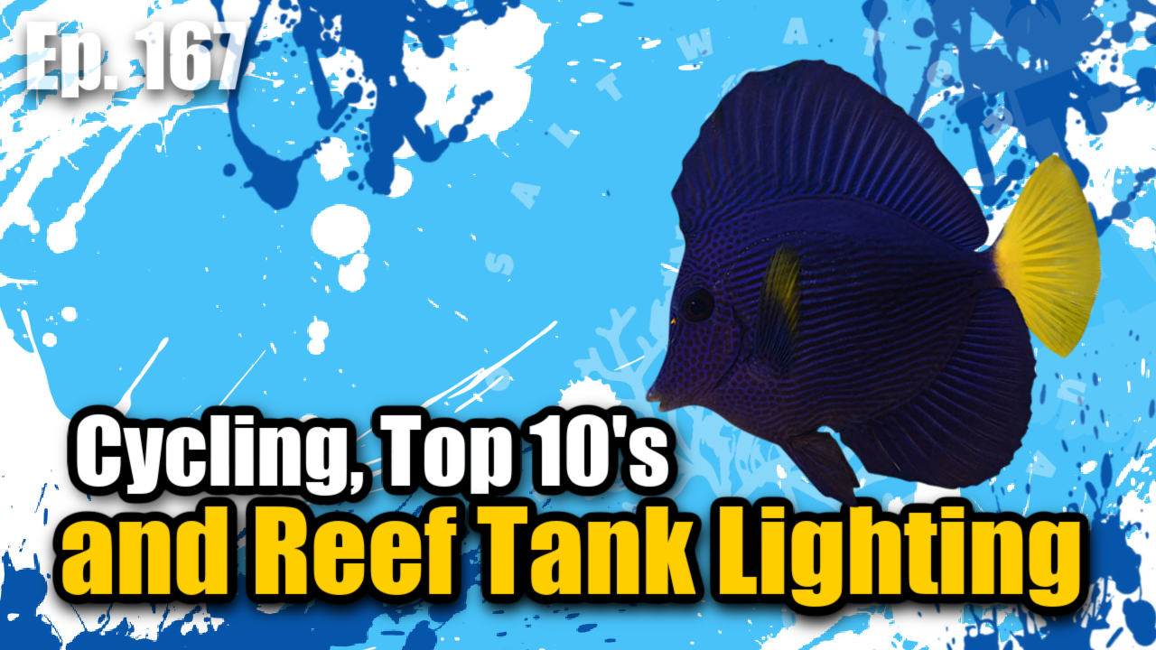 Reef Tank PodcastThumbnail EP167