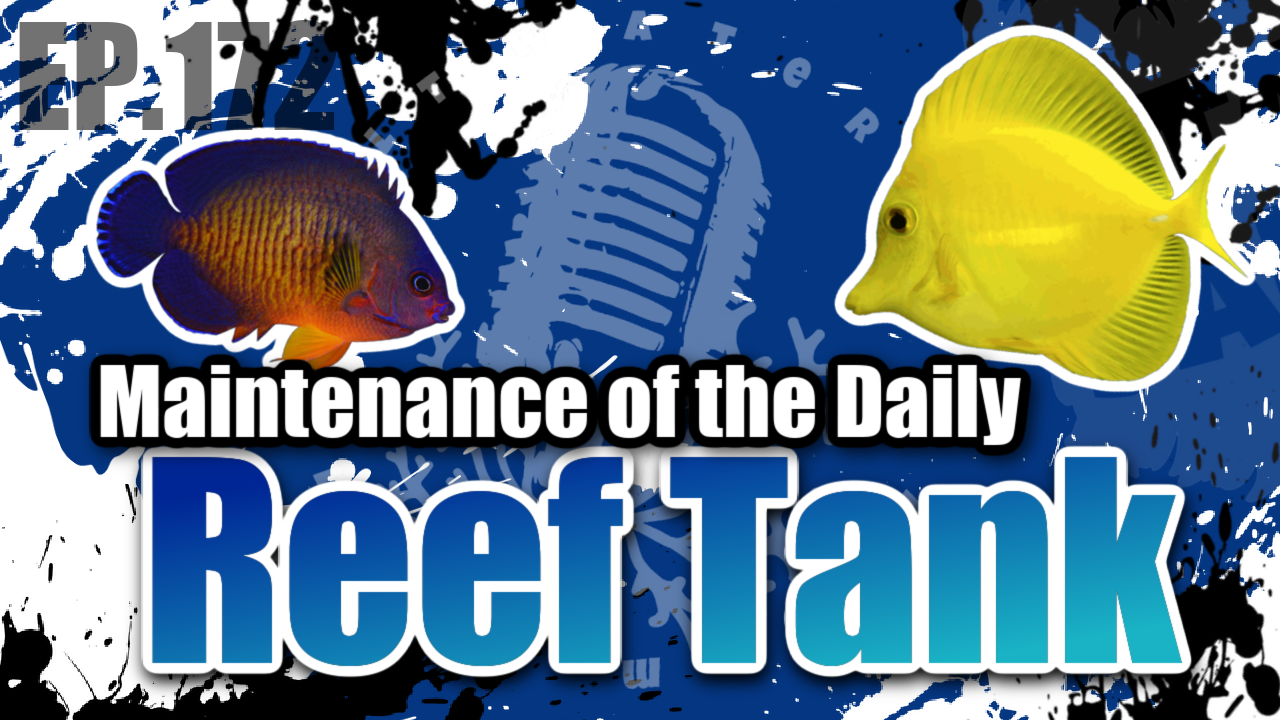 Reef Tank PodcastThumbnail EP172