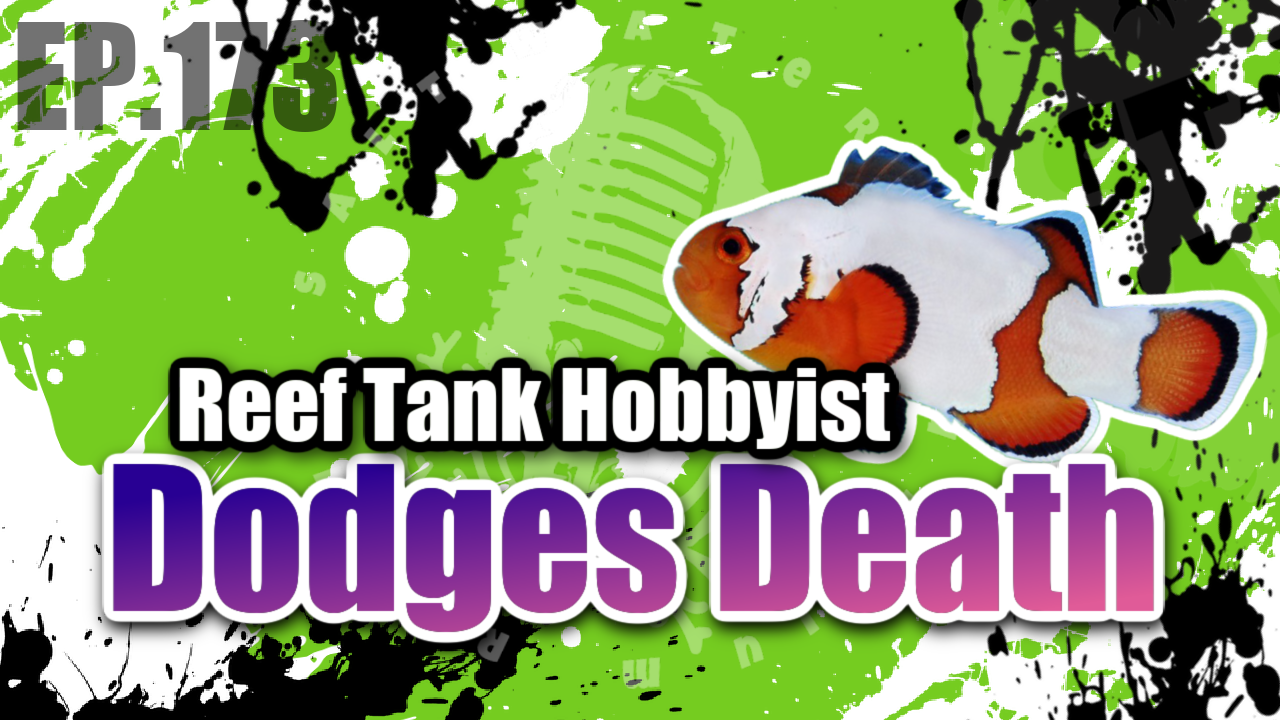 Reef Tank PodcastThumbnail EP173