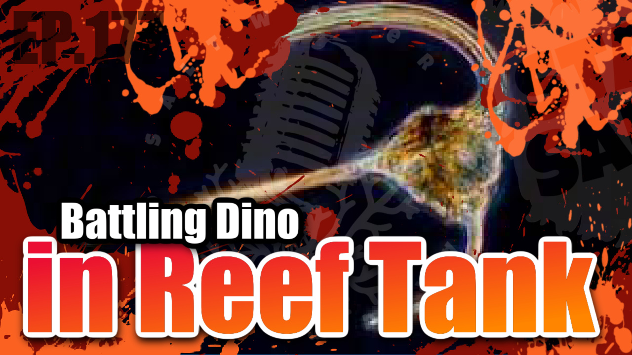 Reef Tank PodcastThumbnail EP177