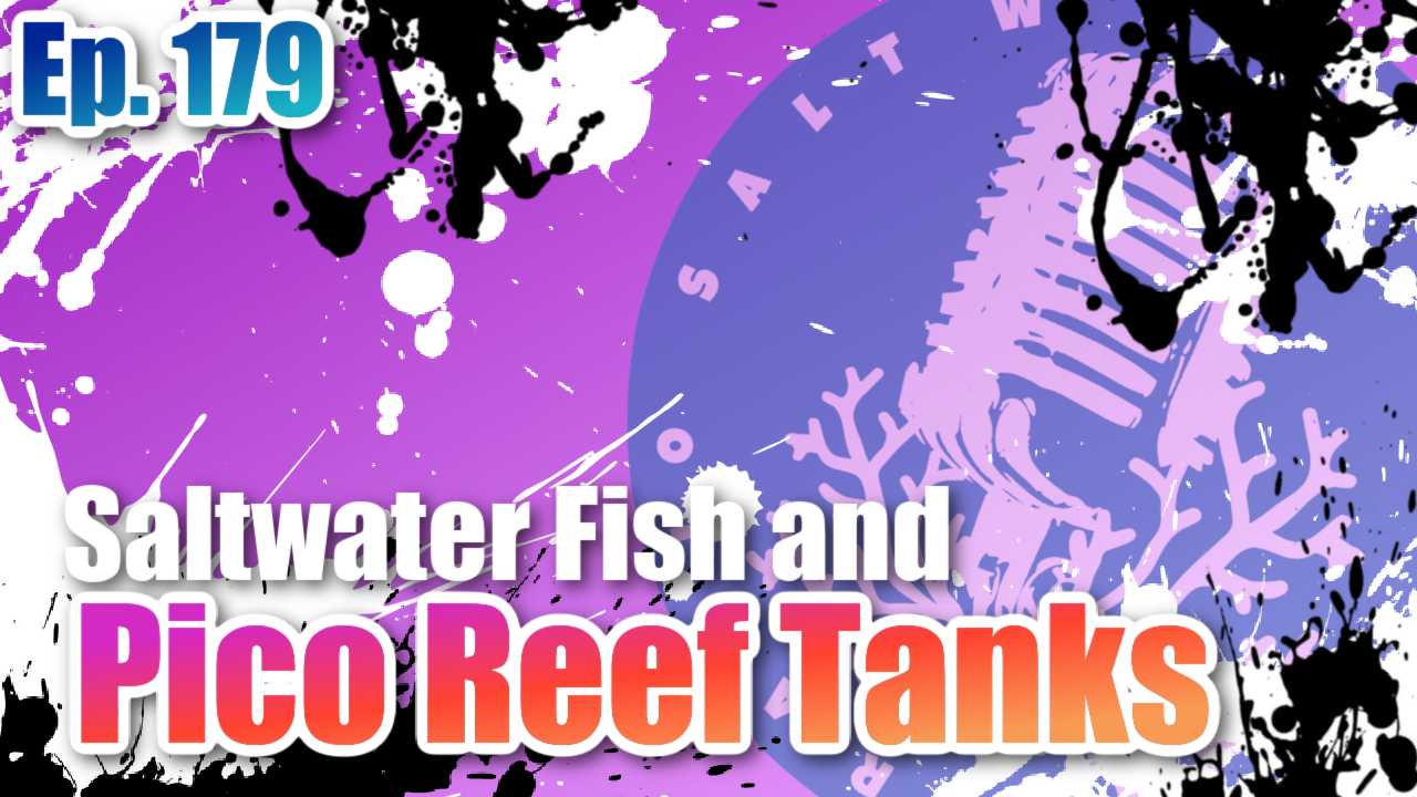 Reef Tank PodcastThumbnail EP179