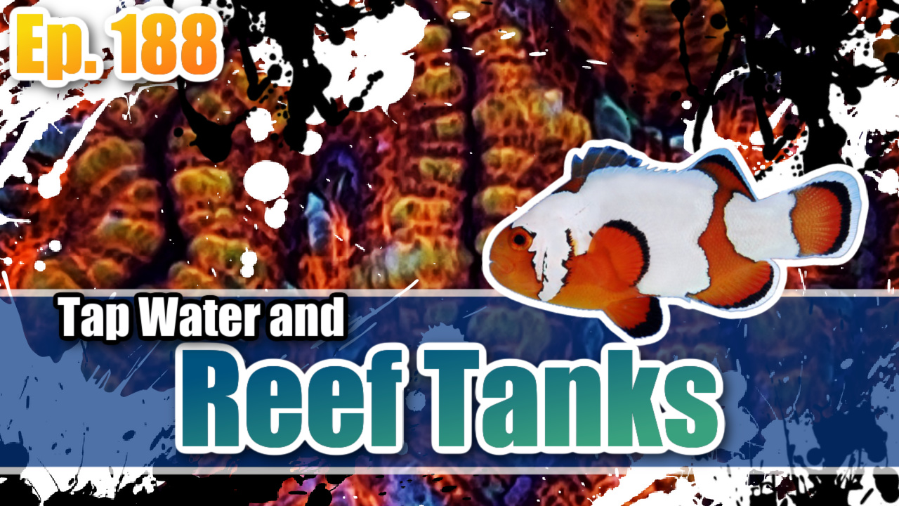 Reef Tank PodcastThumbnail EP188
