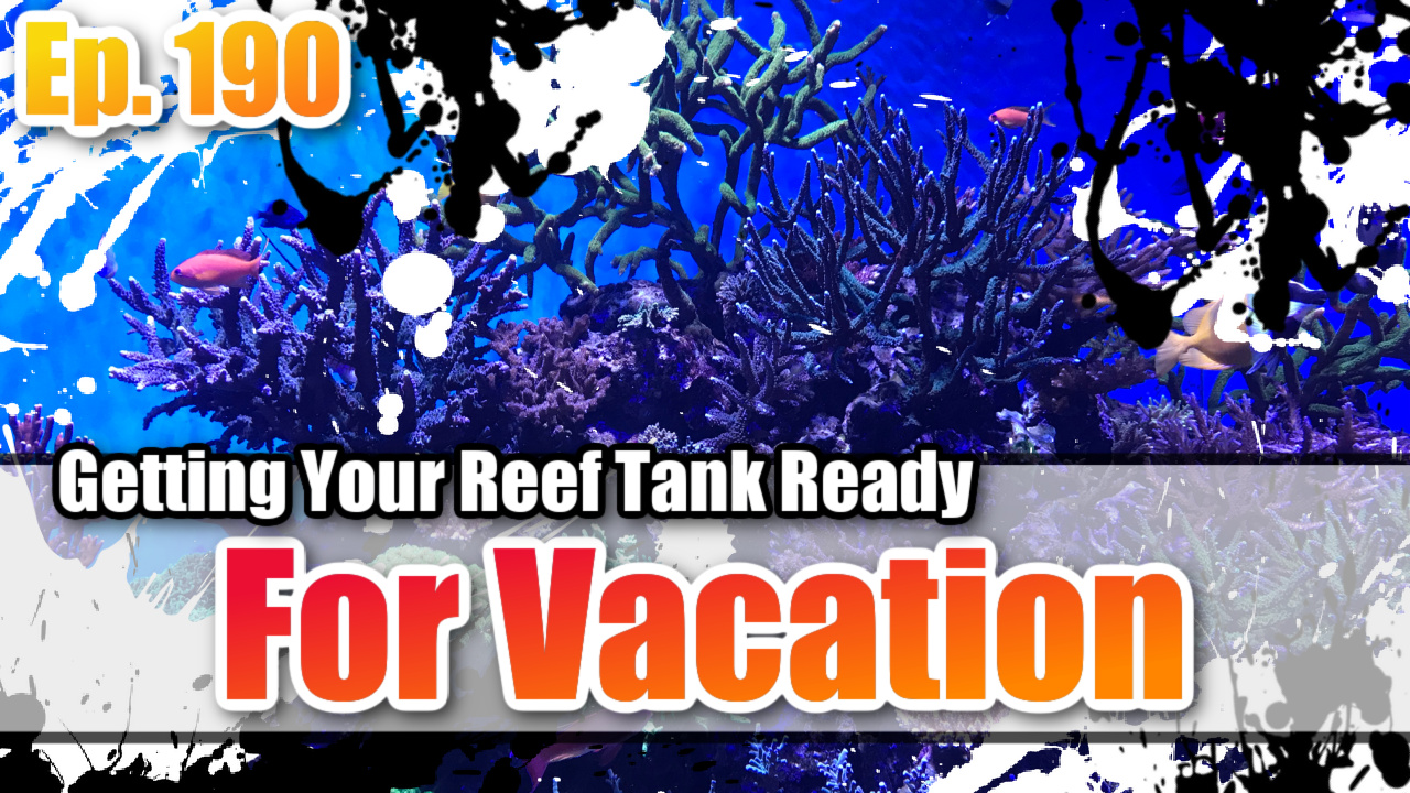 Reef Tank PodcastThumbnail EP189
