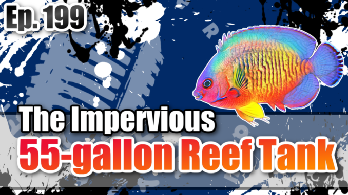 Saltwater Aquarium Radio Podcast 199: The Impervious 55-gallon Reef Tank - Saltwater  Aquarium Radio