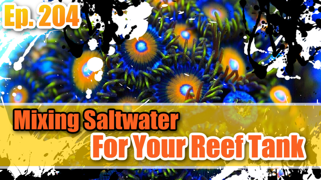 Reef Tank PodcastThumbnail EP204