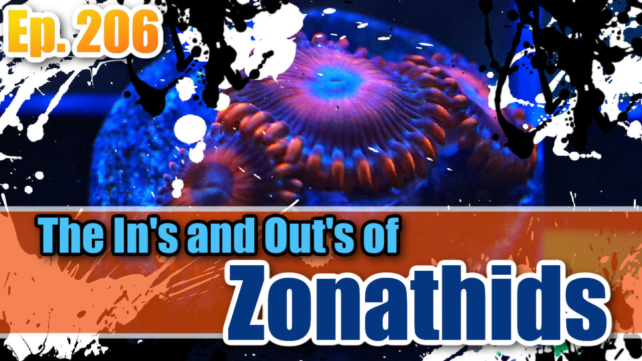 Reef Tank PodcastThumbnail EP206
