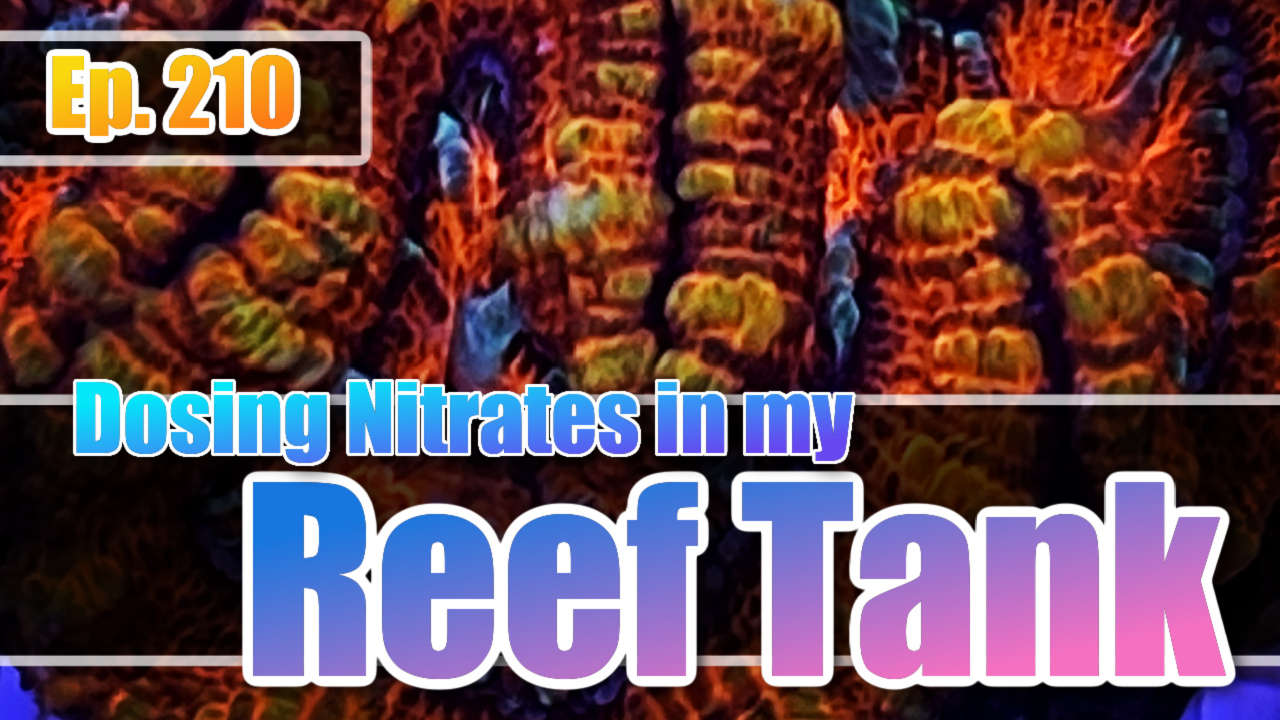 Reef Tank PodcastThumbnail EP210