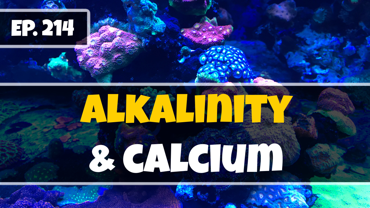Reef Tank PodcastThumbnail EP214