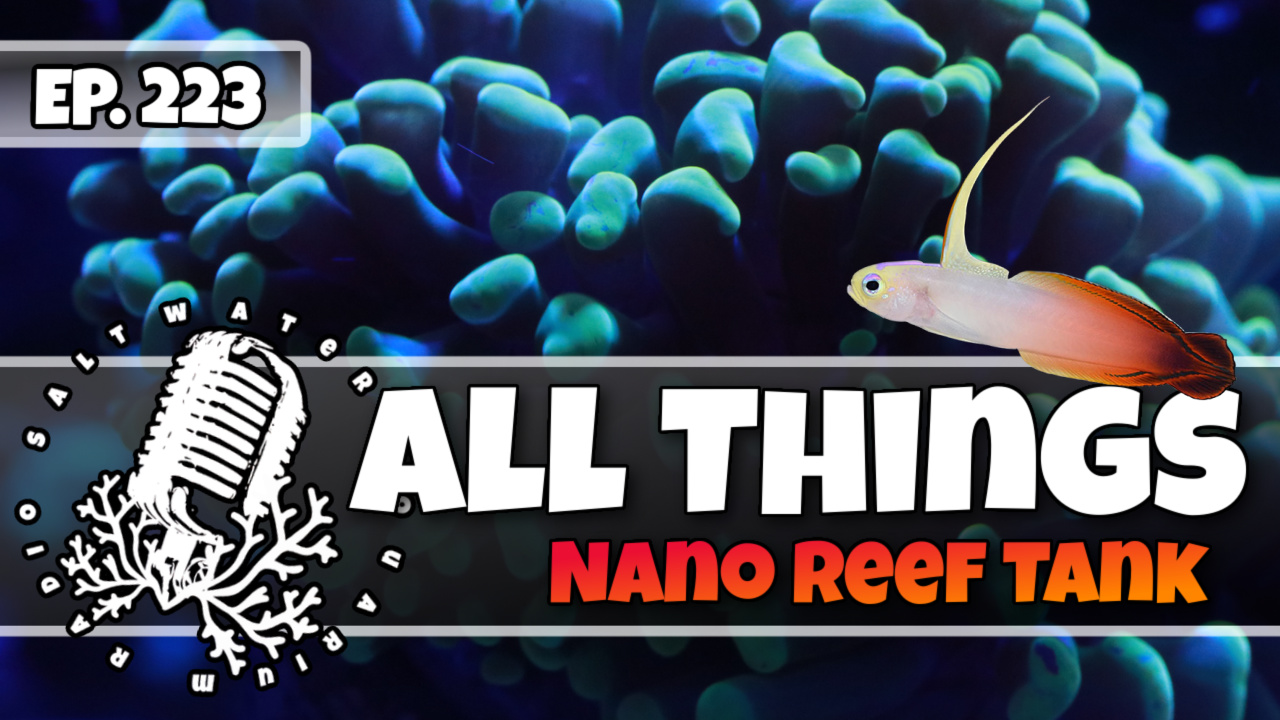 Reef Tank PodcastThumbnail EP223