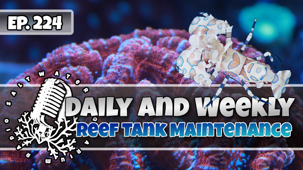 Reef Tank PodcastThumbnail EP224