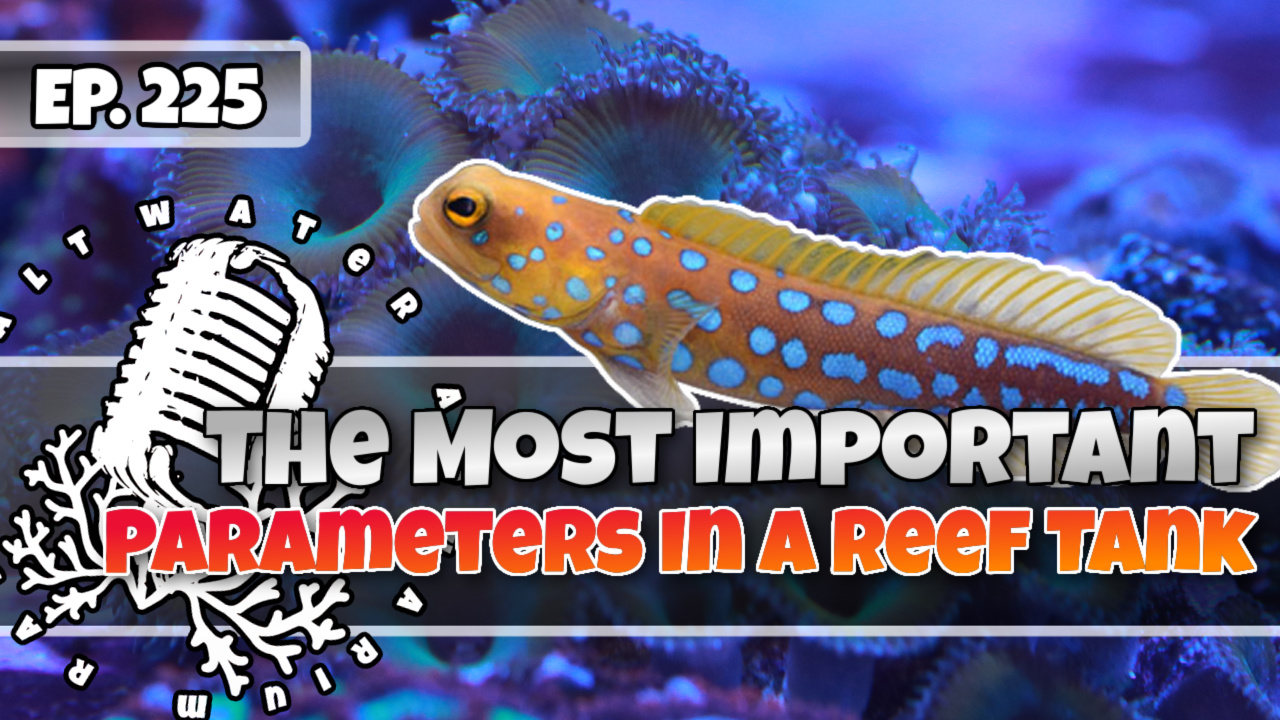 Reef Tank PodcastThumbnail EP225