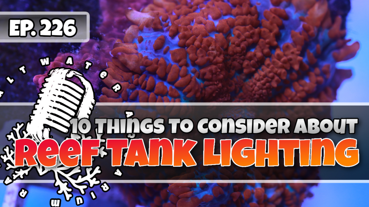 Reef Tank PodcastThumbnail EP226