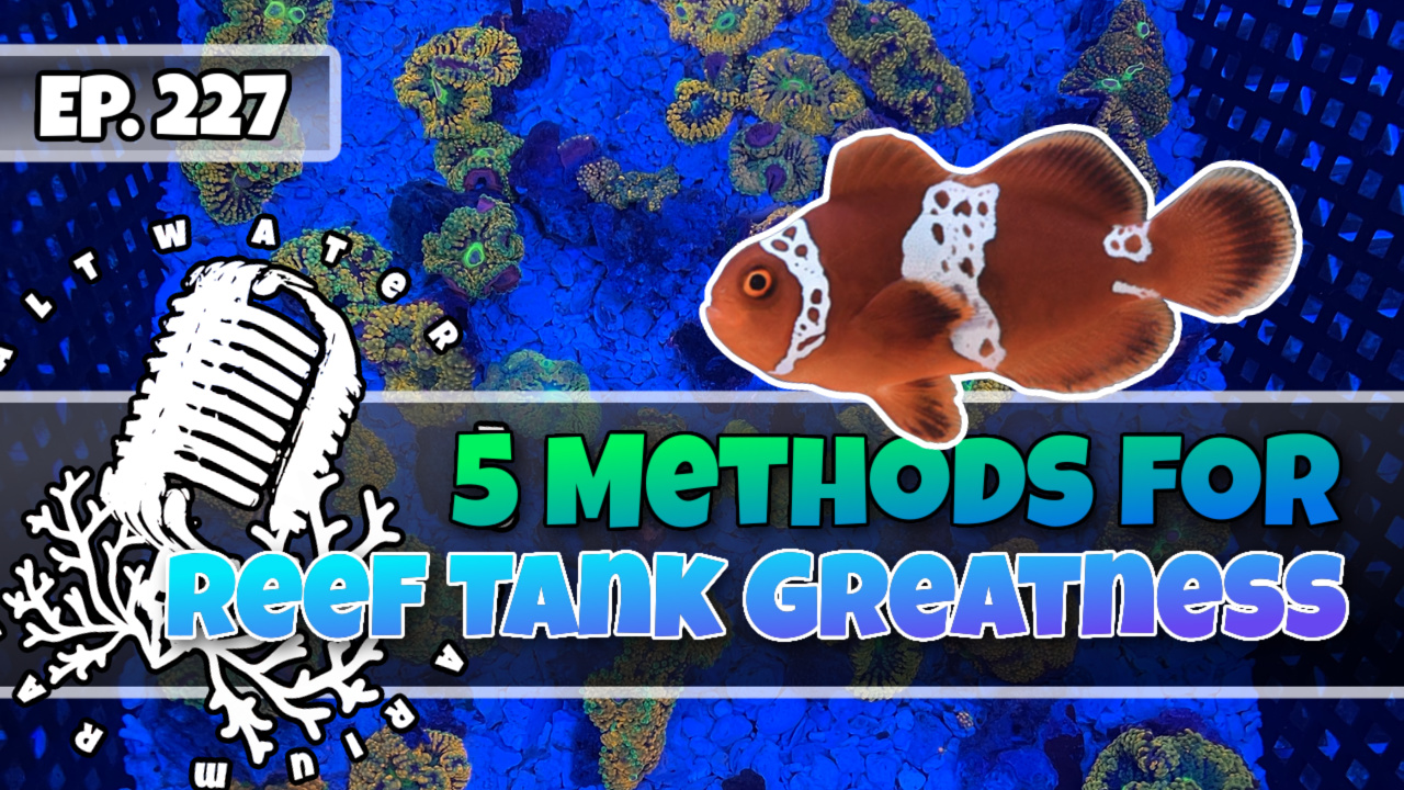 Reef Tank PodcastThumbnail EP227