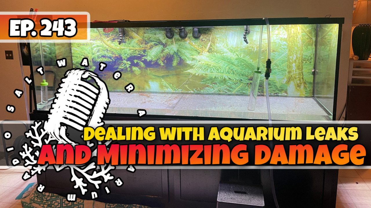 Reef Tank PodcastThumbnail EP243