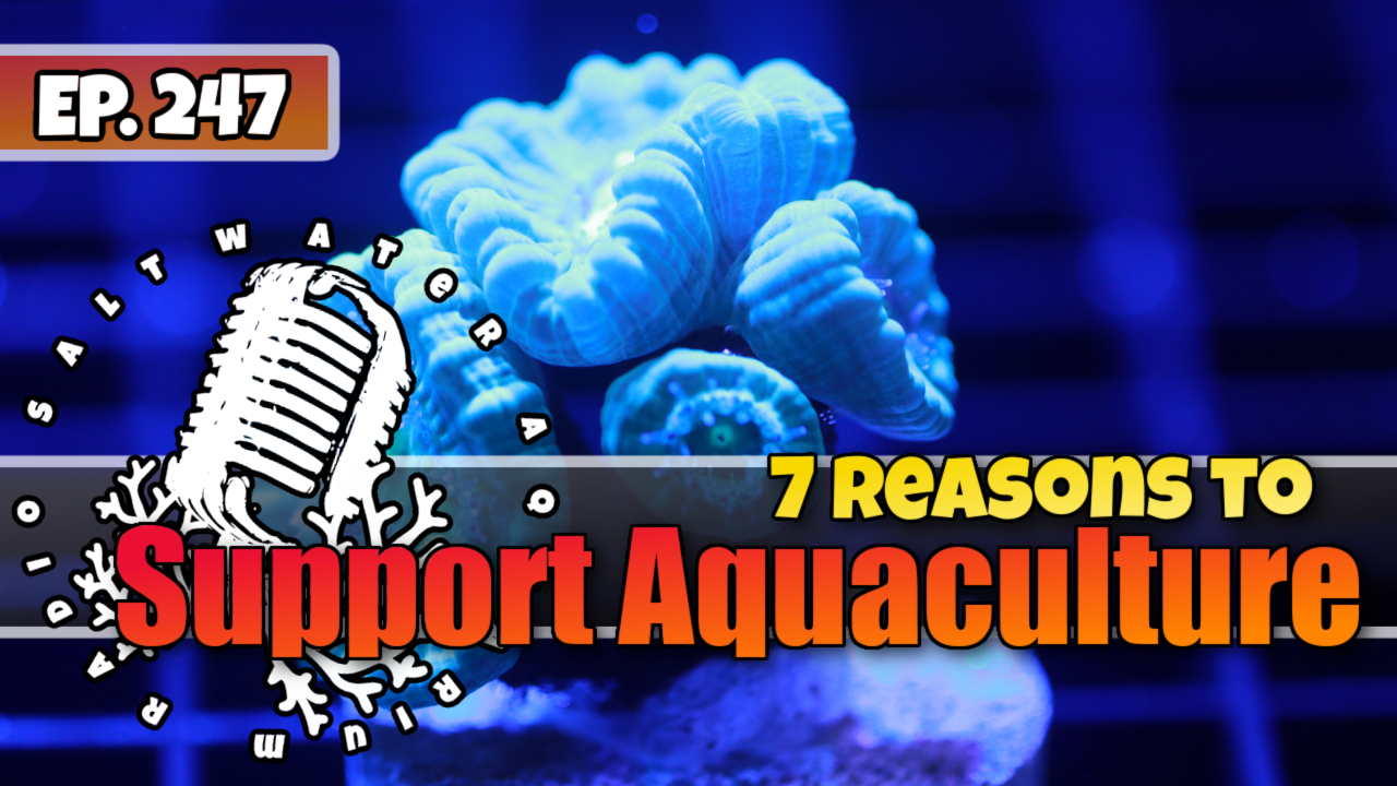Reef Tank PodcastThumbnail EP248