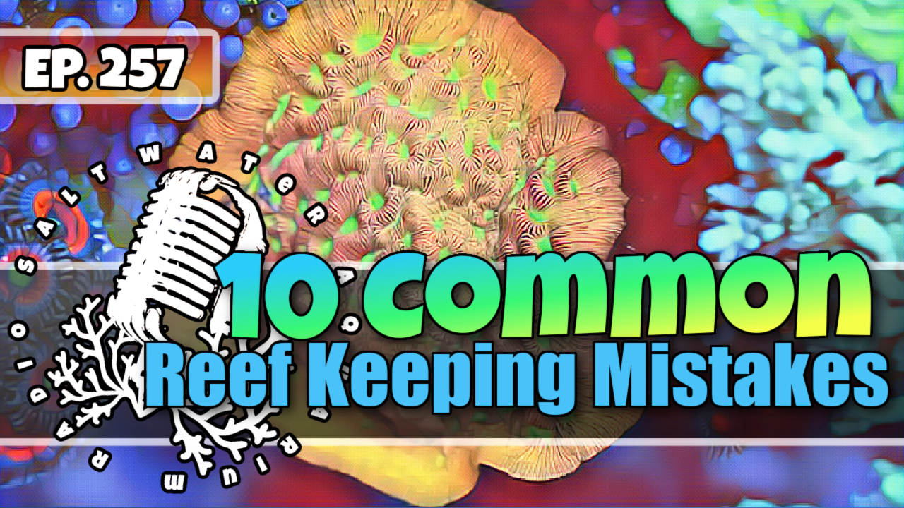 Reef Tank PodcastThumbnail EP257