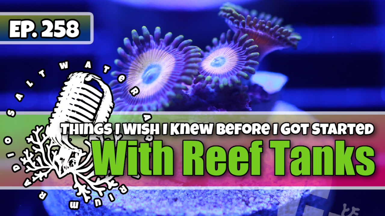 Reef Tank PodcastThumbnail EP258