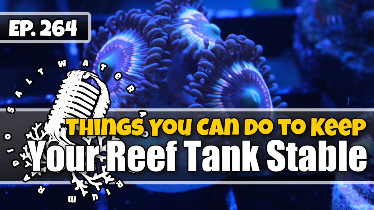 Reef Tank PodcastThumbnail EP264