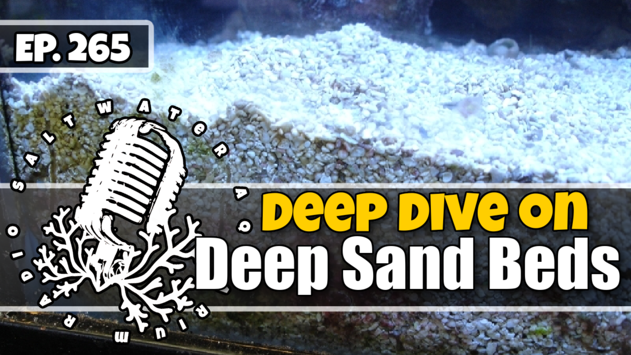 Reef Tank PodcastThumbnail EP265
